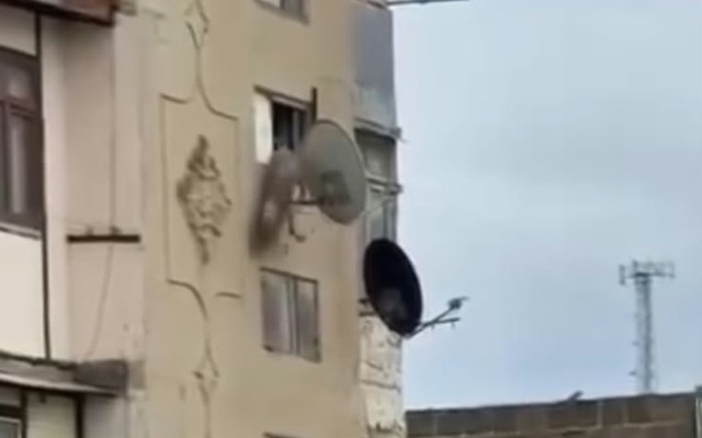 Bakıda iti hündürmərtəbəli binadan atdılar - VİDEO